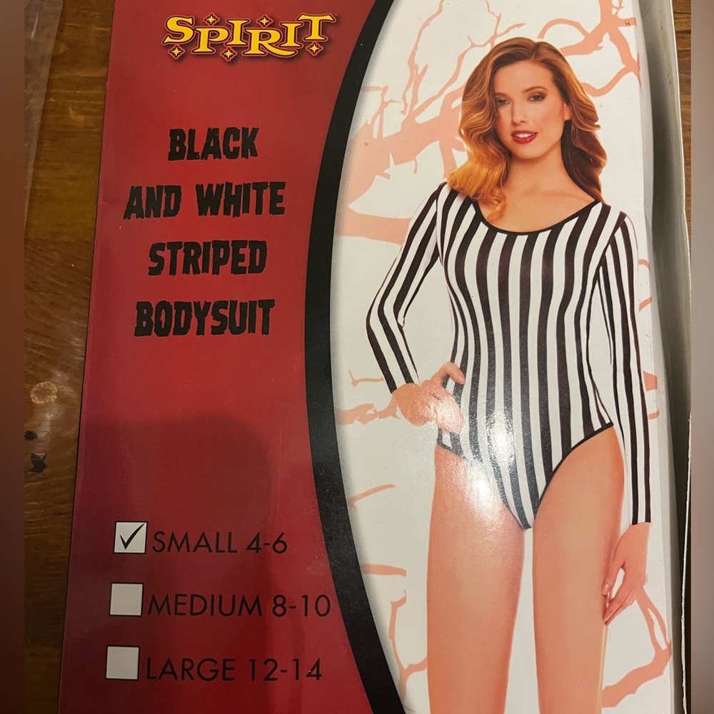 Spirit Halloween 🎃 Pin stripe bodysuit